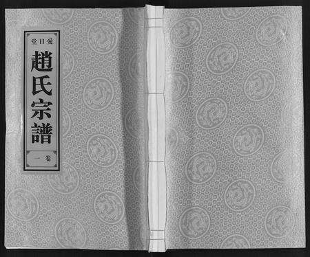 安徽赵氏族谱-赵氏宗谱.pdf电子版缩略图