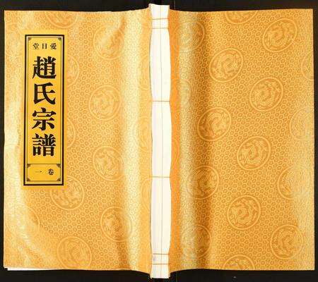 安徽赵氏族谱-赵氏宗谱.pdf电子版缩略图