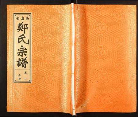 安徽郑氏族谱-郑氏宗谱.pdf电子版缩略图