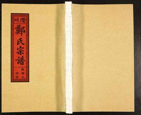 安徽郑氏族谱-郑氏宗谱.pdf电子版缩略图