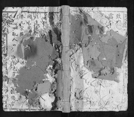 江西锺氏族谱-瑞金清溪锺氏九修族谱[不分卷].pdf电子版缩略图