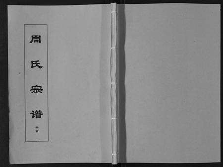 安徽周氏族谱-周氏宗谱[33卷首11卷].pdf电子版缩略图