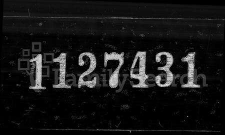 安徽周氏族谱-桐城练西周氏宗谱 [26卷, 卷末].pdf电子版缩略图