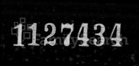 安徽周氏族谱-桐城鹞石周氏尚义堂支谱 [23卷].pdf电子版缩略图
