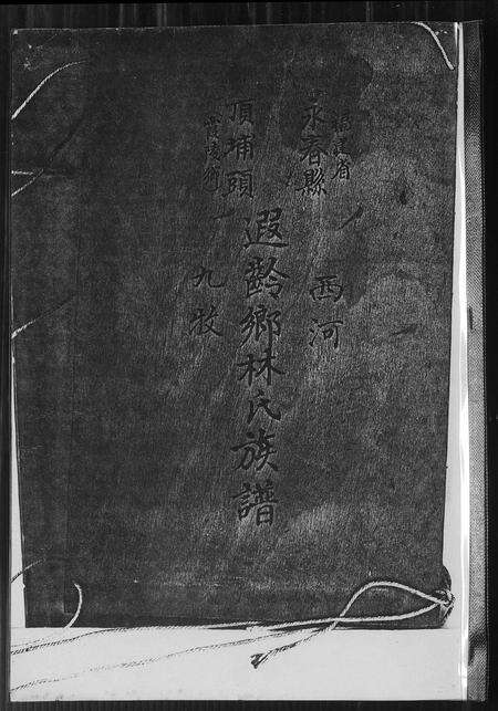 福建林氏族谱-桃源遐龄林氏族谱.pdf电子版缩略图