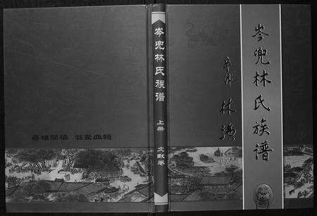 福建林氏族谱-福清市岑兜林氏族谱.pdf电子版缩略图