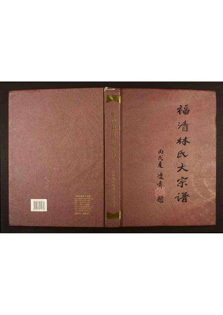 福建林氏族谱-福清林氏大宗谱.pdf电子版缩略图