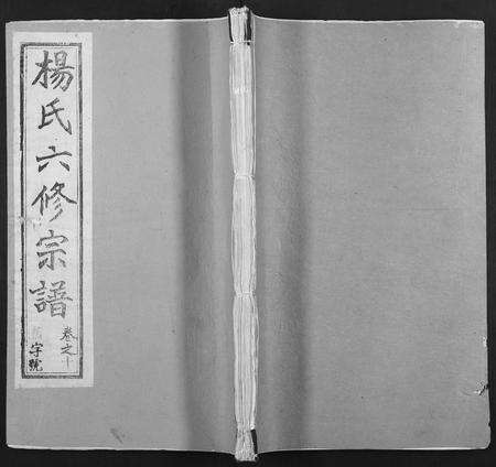 安徽杨氏族谱-杨氏六修宗谱 [24卷].pdf电子版缩略图