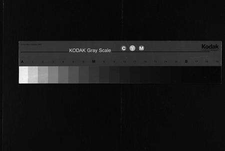 安徽杨氏族谱-杨氏续修宗谱 [61卷,首2卷,末1卷].pdf电子版缩略图