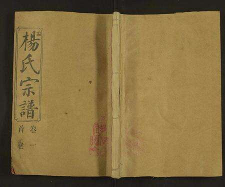 安徽杨氏族谱-杨氏宗谱 [65卷,及卷首末].pdf电子版缩略图