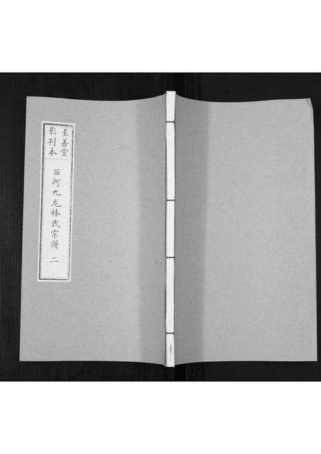 福建林氏族谱-西河九龙林氏族谱[2册].pdf电子版缩略图