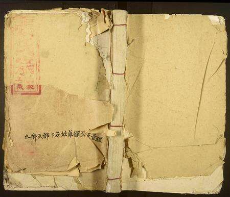 江西张氏族谱-分甯张氏宗谱[卷数不详].pdf电子版缩略图