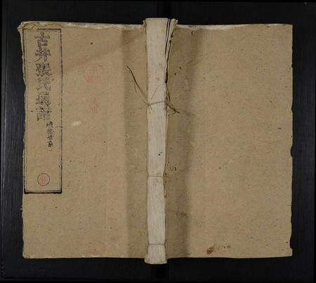 江西张氏族谱-古井张氏通谱 [不分卷].pdf电子版缩略图