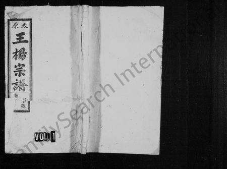安徽王氏杨氏族谱-太原王杨宗谱 [43卷,含卷首,又末2卷].pdf电子版预览图