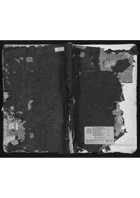 福建林氏族谱-锦田西河林氏家谱.pdf电子版缩略图