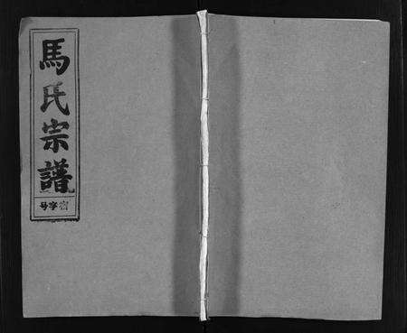 安徽未知族谱-马氏宗谱 [26卷,卷首上下,卷末各1卷].pdf电子版预览图