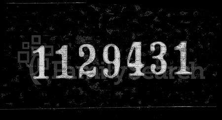 安徽杨氏族谱-皖桐杨氏宗谱 [16卷].pdf电子版预览图
