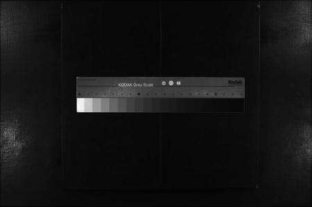 江西杨氏族谱-甯都小东关杨氏初修族谱 [8卷,含首1卷].pdf电子版预览图