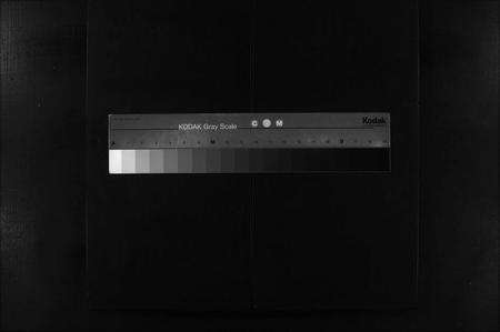 江西姚氏族谱-姚氏宗谱 [卷数不详].pdf电子版预览图