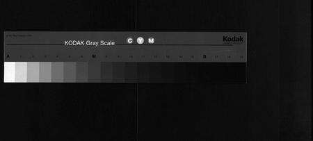 安徽叶氏族谱-叶氏宗谱 [11卷,首1卷].pdf电子版预览图