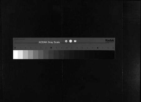 安徽叶氏族谱-叶氏族谱 [30卷,首1卷].pdf电子版预览图