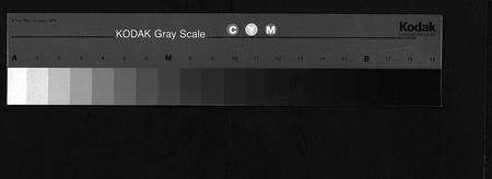 江西俞氏族谱-杉江俞氏宗谱 [纲5卷,目10卷].pdf电子版预览图