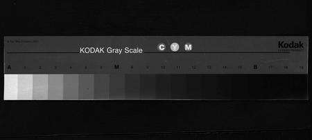 安徽张氏族谱-星源甲道张氏宗谱 [残卷].pdf电子版预览图