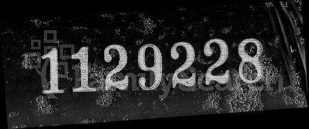 安徽张氏族谱-皖桐张氏族谱 [20卷,末1卷].pdf电子版预览图