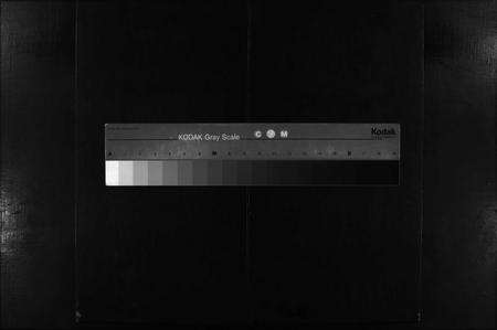 安徽张氏族谱-碑亭张氏宗谱 [12卷].pdf电子版预览图