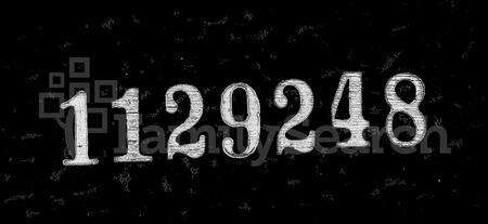 安徽张氏族谱-[芜湖]张氏续存名录 [6卷].pdf电子版预览图