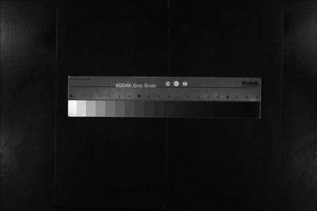 江西张氏族谱-袁(君邑)张氏族谱 [16卷,含首1卷].pdf电子版预览图