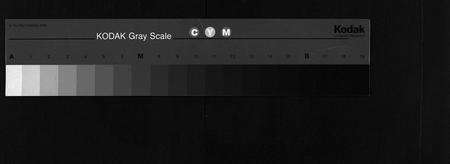 安徽赵氏族谱-赵氏宗谱 [15卷,首1卷].pdf电子版预览图