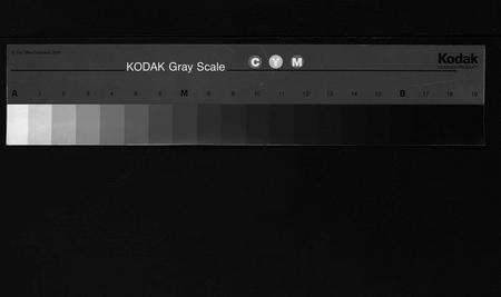 安徽周氏族谱-周氏宗谱 [19卷,首1卷].pdf电子版预览图