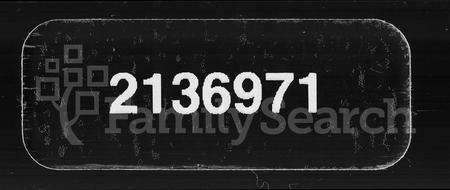 安徽朱氏族谱-紫阳朱氏重修宗谱 [20卷,首1卷,末2卷].pdf电子版预览图