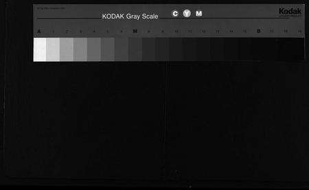 江西邹氏族谱-中田邹氏十一脩族谱 [残卷].pdf电子版预览图