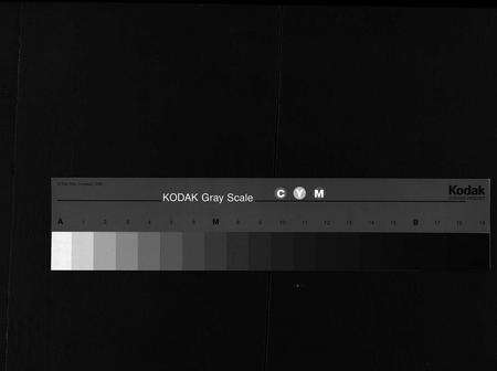 江西邹氏族谱-赣西南联修范阳邹氏家谱史 [2卷].pdf电子版预览图