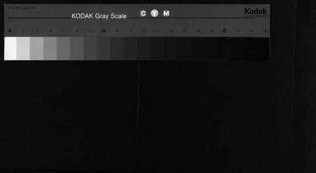 江西邹氏族谱-邹氏宗谱 _ 桂馥堂 [2卷].pdf电子版预览图