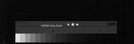 江西邹氏族谱-邹氏宗谱 [残卷].pdf电子版预览图