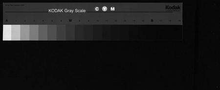 江西邹氏族谱-雩都邹氏八九连修族谱 [不分卷].pdf电子版预览图