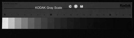 江西邹氏族谱-丁桥邹氏十五修族谱 [不分卷].pdf电子版预览图