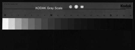 江西邹氏族谱-雩会邹氏族谱 [2卷].pdf电子版预览图