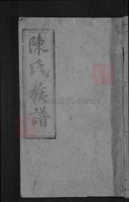 广东省梅州市梅县区陈氏族谱-陈氏族谱.pdf电子版缩略图