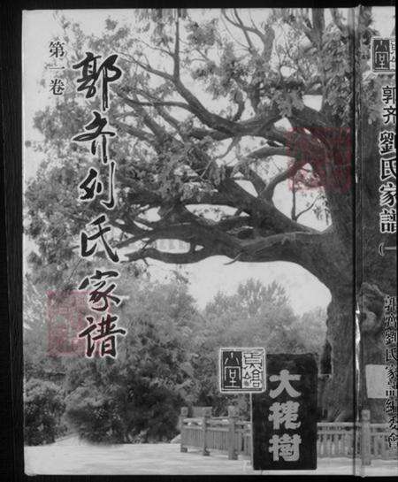 山东省潍坊市昌乐县刘氏焉嵩堂族谱-郭齐刘氏家谱.pdf电子版缩略图