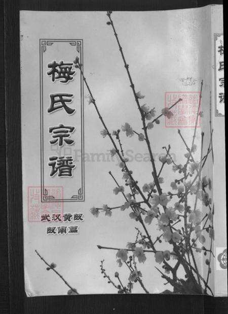 湖北省孝感市孝昌县梅氏汝南堂族谱-梅氏宗谱.武汉黄陂陂南篇.pdf电子版缩略图