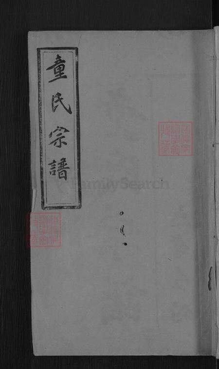 湖北省武汉市新洲区童氏忠孝堂族谱-童氏宗谱.pdf电子版缩略图