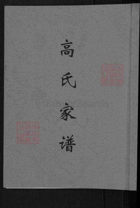 河南省郑州市登封市高氏族谱-高氏家谱.pdf电子版缩略图