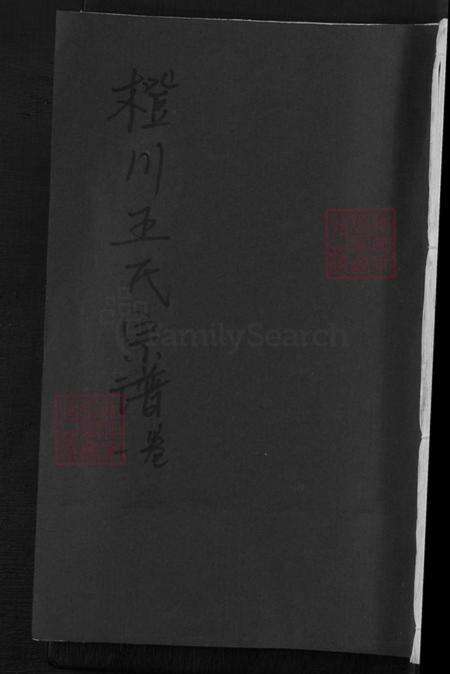 浙江省衢州王氏族谱-橙川王氏宗谱.pdf电子版缩略图