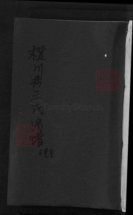 浙江省衢州王氏族谱-橙川王氏宗谱.pdf电子版缩略图