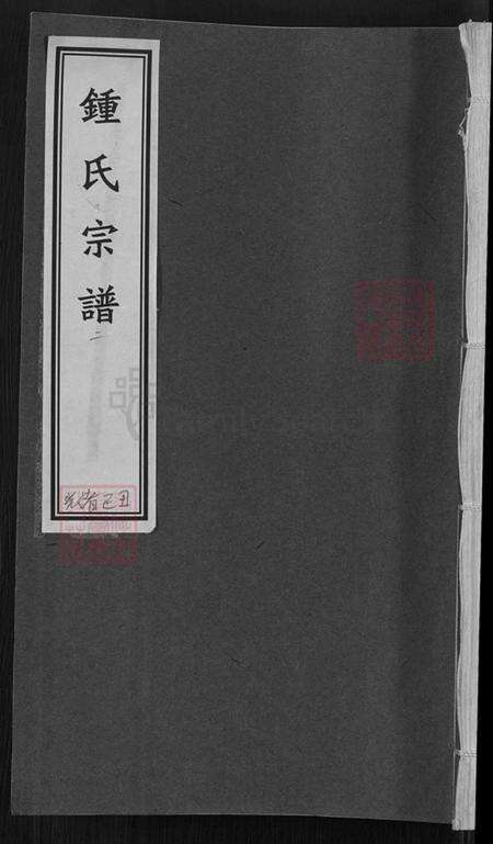 浙江省丽水市莲都区太平乡钟氏永硕唐族谱-钟氏宗谱.pdf电子版缩略图