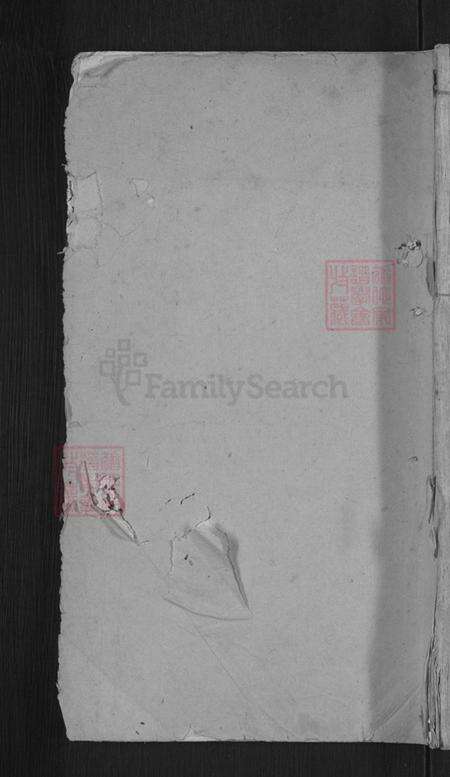 江西省宜春市万载县高村镇张氏清河堂族谱-万载大坳张氏支谱.pdf电子版缩略图